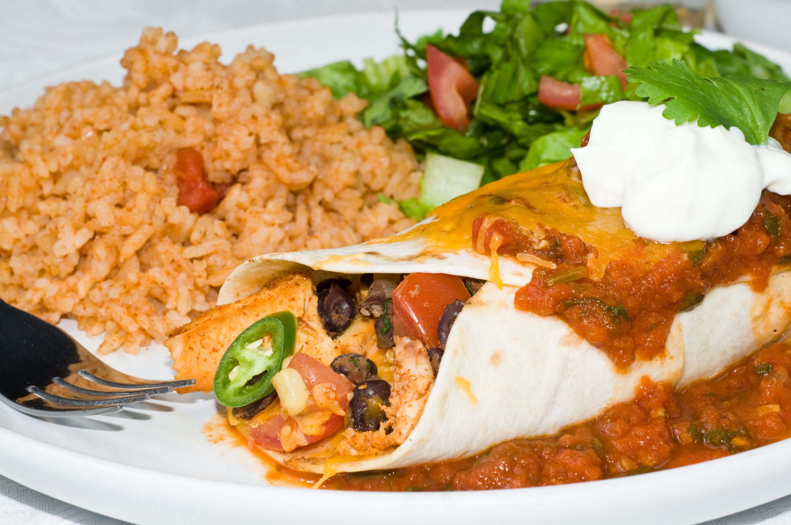 Jalapeno Chicken Enchiladas - Twist Recipes